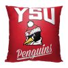 Youngstown State Alumni Pillow