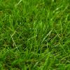 Artificial Grass 4.4'x16.4'/1.6" Green